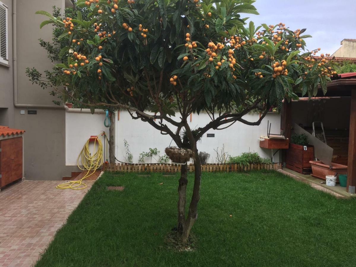 B&B Filomena Santa Giusta Esterno foto